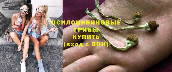 винт Алзамай