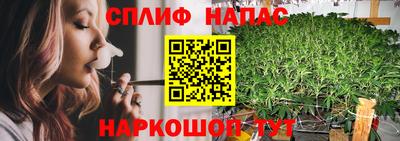 сатива Усть-Илимск