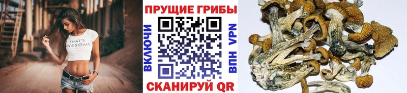Галлюциногенные грибы Magic Shrooms Петровск