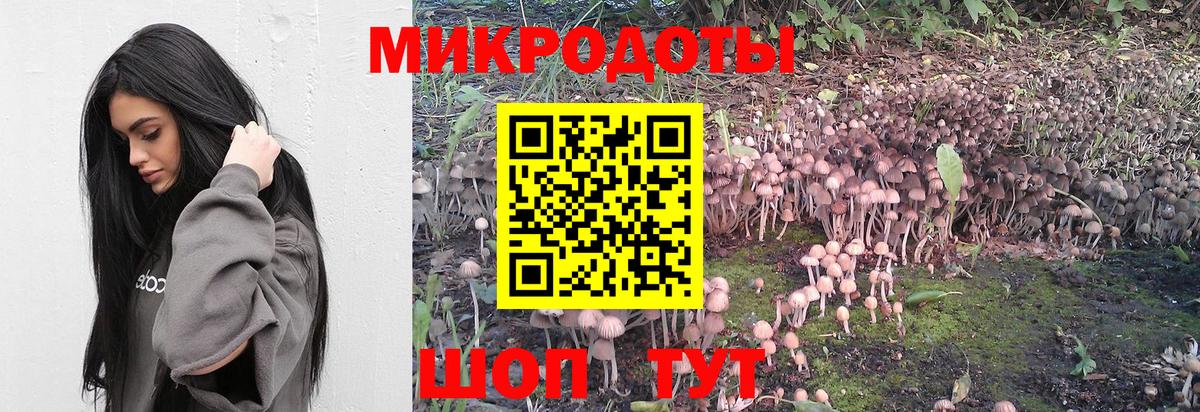 Петровск  продажа наркотиков  Вход с VPN  Псилоцибиновые грибы Cubensis 