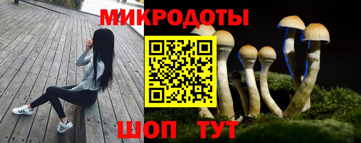 Псилоцибиновые грибы мухоморы Петровск